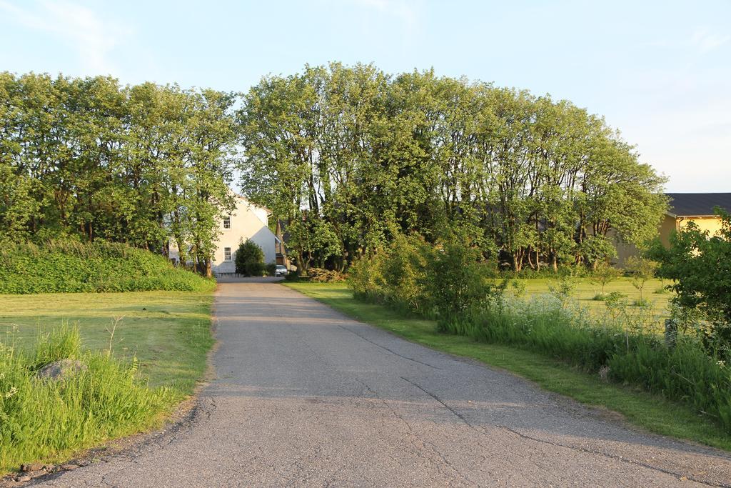Strandsegard Ferielejlighed Ølsted Esterno foto